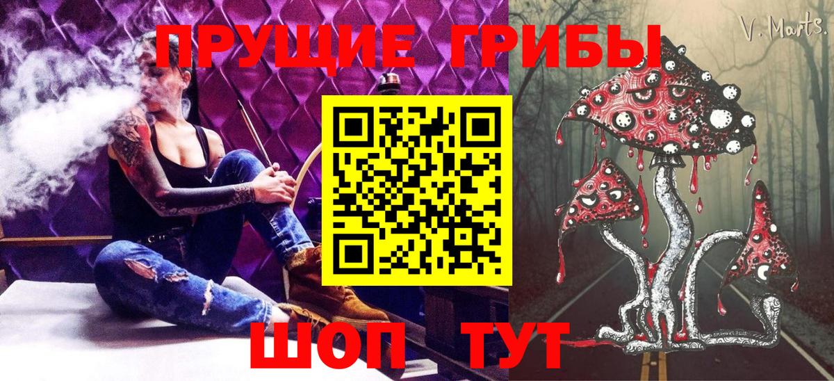 Галлюциногенные грибы Psilocybe Таганрог