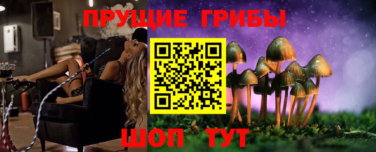 Таганрог  Псилоцибиновые грибы прущие грибы  купить  цена  Вход с VPN 